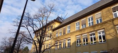 Gelbes Schulgeb&auml;ude mit vielen Fenstern und Rolll&auml;den, davor ein kahler Baum, fotografiert bei blauem Himmel.