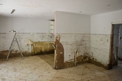Leerer Raum mit stark besch&auml;digten, feuchten W&auml;nden und abbl&auml;tternder Farbe, Trittleiter im Hintergrund.