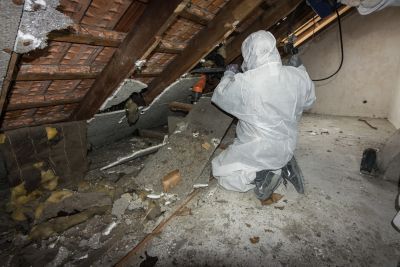 Arbeiter im Schutzanzug entfernt kontaminiertes D&auml;mmmaterial im Dachboden w&auml;hrend einer Schadstoffsanierung.