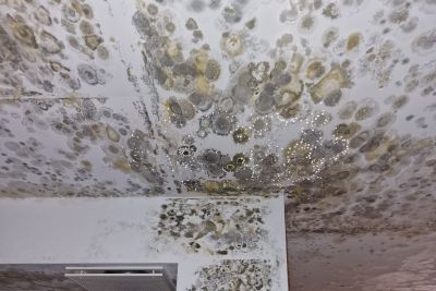 Deckenverkleidung mit gro&szlig;fl&auml;chigem Schimmelbefall, dunkle und gelbliche Flecken auf wei&szlig;em Untergrund, an Decke und Wandvorsprung.